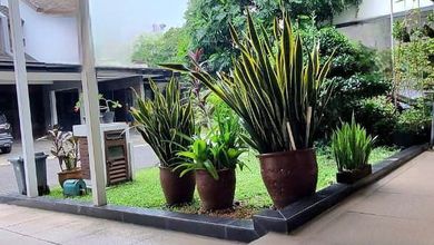 Rumah Premium area BSD Foresta, Tangerang, Luas 200 m2
